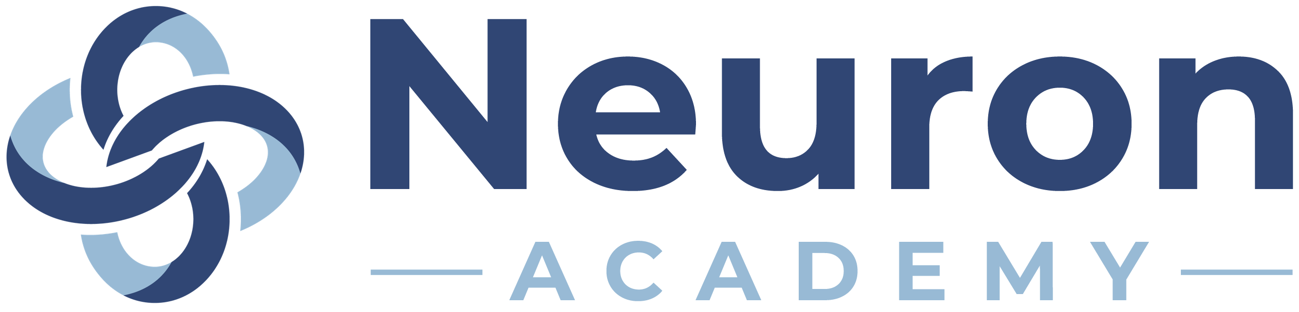 Neuron Academy